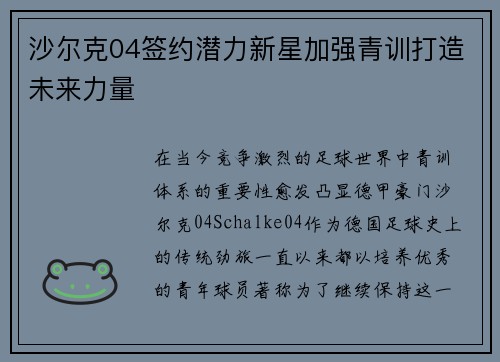 沙尔克04签约潜力新星加强青训打造未来力量